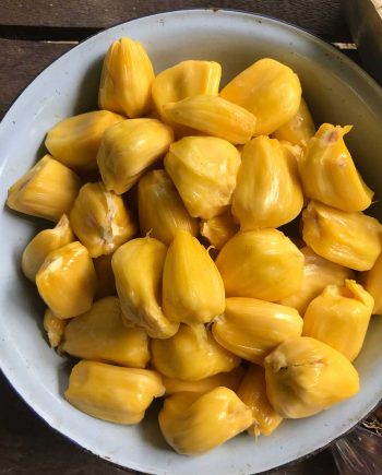 Fansachi Bhaji  (Jackfruit )